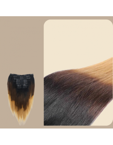 Straight Ombre Bruin Chocolade Blond Clip-In Extensions Kit 120 gr les ctes